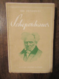 Schopenhauer - Ion Petrovici