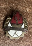 QW9 N8 93 - insigna - comunism RPR - Pionieri - Sint gata intotdeauna