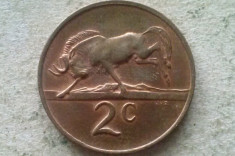 MONEDA 2 CENTI 1978-AFRICA DE SUD foto