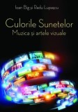 Culorile sunetelor. Muzica si artele vizuale/Ioan Big, Radu Lupascu, Rao