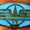 I.251 INSIGNA STICKPIN L20mm email