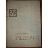 C-tin Kiritescu - Palestrica - o istorie universală a culturii fizice
