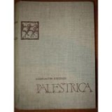 C-tin Kiritescu - Palestrica - o istorie universală a culturii fizice