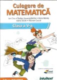 Culegere de matematica. Clasa a V-a - Ion Cicu, Silvia Mares, Stefan Smarandache