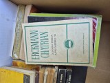 Doamna Tereza vintage