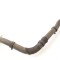 Furtun de lichid de răcire LAND ROVER RANGE ROVER EVOQUE L538 2015 OEM: BJ32-8260-AD 10652837