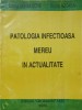 PATOLOGIA INFECTIOASA MEREU IN ACTUALITATE-DOINA MIHALACHE, DOINA AZOICAI-237042