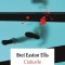 Cioburile, Bret Easton Ellis - Editura Polirom