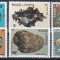 DB1 Fauna Scoici Wallis &amp; Futuna 6 v. MNH III