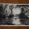 CP Bucuresti Gradina Cismigiu Parcul 1938