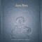 Jane Eyre. Charlotte Bronte. Biblioteca Adevărul, 2009