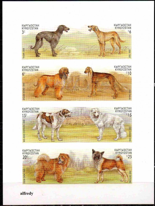 KIRGHIZSTAN, K&Acirc;RG&Acirc;ZSTAN, Kyrgyzstan 2000, Fauna, Caini, serie neuzata, MNH