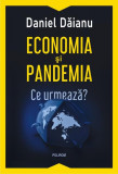 Economia și pandemia. Ce urmează? - Paperback brosat - Daniel Dăianu - Polirom