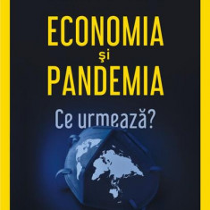 Economia și pandemia. Ce urmează? - Paperback brosat - Daniel Dăianu - Polirom