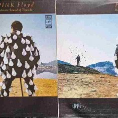 Disc vinil, LP. DELICATE SOUND OF THUNDER VOL.1-2 -PINK FLOYD