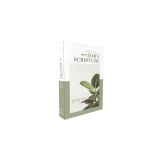 Niv, Daily Scripture, Paperback, White/Sage, Comfort Print: 365 Days to Read Through the Whole Bible in a Year