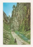 RF196 - Carte Postala - Cheile Dambovicioarei, circulata 1965