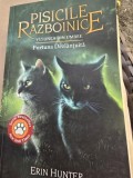 Erin Hunter - Pisicile razboinice. Viziunea din umbra. Furtuna dezlantuita