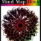 The Mind Map Book: How to Use Radiant Thinking to Maximize Your Brain&#039;s Untapped Potential