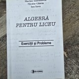 Algebra pentru liceu. Exercitii si probleme - Marian Andronache, Niculae Ghiciu, Ion Savu