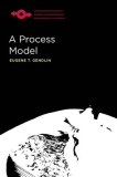 A Process Model, 2017