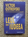 Victor Ostrovski - Leul din Iudeea