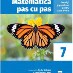 Matematica pas cu pas. Exercitii si probleme pentru clasa a VII-a | Radu Gologan, Camelia Elena Neta, Ciprian Constantin Neta, Gabriel Vrinceanu