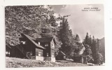 RF71 -Carte Postala- Muntii Bucegi, Cabana Stanii, circulata 1963