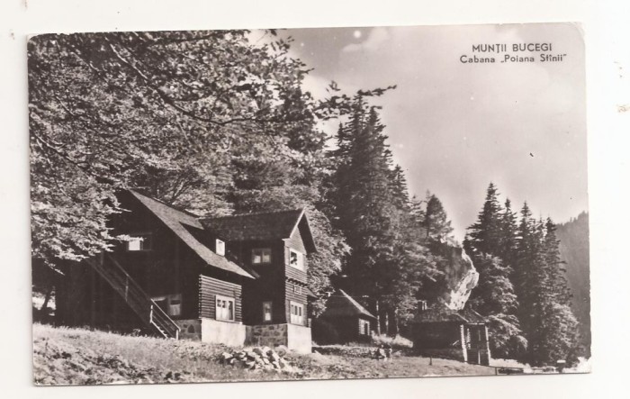 RF71 -Carte Postala- Muntii Bucegi, Cabana Stanii, circulata 1963