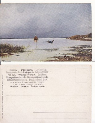 Ilustrata animale - rate salbatice foto