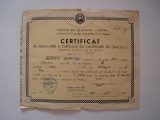 Certificat de absolvire a cursului de calificare de gradul I, 1975