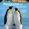 Penguins and Antarctica
