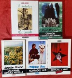 5 vol. colectia TARMURI (Jules Verne Cristofor Columb, Serviciul secret chinez, Canada, California mirajul vestului, Nomadul alb) - ed. Nemira