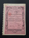 Titlu / obligatiune 500 lei aur 1906 / cupoane neincasate / actiune / actiuni