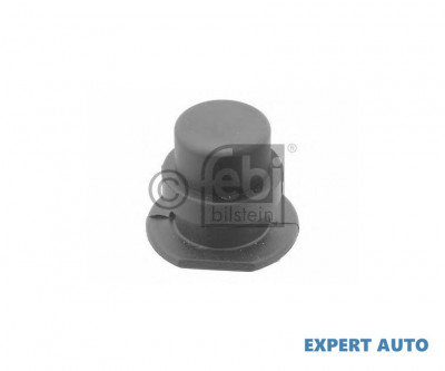 Dop antigel Volkswagen VW GOLF Mk III Cabriolet (1E7) 1998-2002 foto