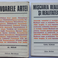 IZVOARELE ARTEI- AL. HUSAR + MISCAREA REALISTA SI REALITATEA - TOMA ROMAN