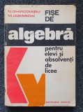 FISE DE ALGEBRA - Ghircoiasiu, Iasinschi