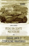 Peisaj din soapte multicolore sau Tandari dintr-o cosmogonie miniaturala | Liviu Lungu