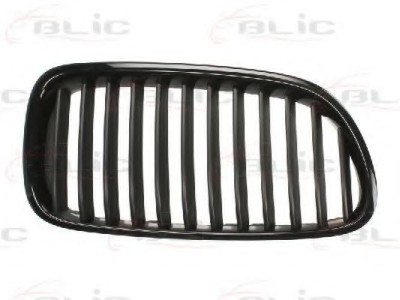 Grila radiator BMW Seria 5 (F10, F18) (2009 - 2016) BLIC 6502-07-0067991P foto