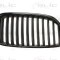 Grila radiator BMW Seria 5 Touring (F11) (2010 - 2016) BLIC 6502-07-0067991P