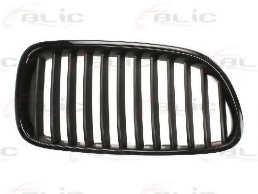 Grila radiator BMW Seria 5 (F10, F18) (2009 - 2016) BLIC 6502-07-0067991P