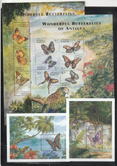 Fauna,fluturi,Antigua $Barbuda. foto