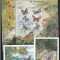 Fauna,fluturi,Antigua $Barbuda.