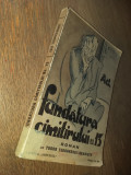 Cumpara ieftin FUNDATURA CIMITIRULUI NO.13 - ROMAN DE TUDOR TEODORESCU - BRANISTE