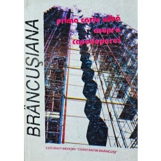 Nicolae Diaconu și Ion Pogorilovschi, Br&acirc;ncușiana, Prima carte albă asupra capodoperei, 1997
