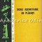 Scule Aschietoare Cu Placute - S. Eliezer