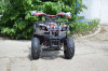 ATV NITRO TORONTO RG7 GRAFFIT, Athena