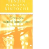 Trezirea mintii luminoase. Meditatie tibetana pentru a ajunge la pacea interioara si bucurie - Tenzin Wangyal Rinpoche