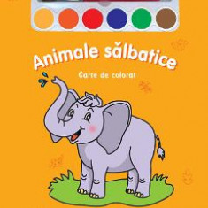 Animale salbatice - Miracolul culorilor - Carte de colorat