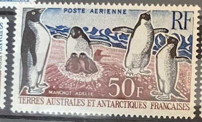 Teritoriul Sudic si Antarctic Francez (TAAF) 1962 Fauna Antarctica/ Pinguini, serie MNH, 1v foto